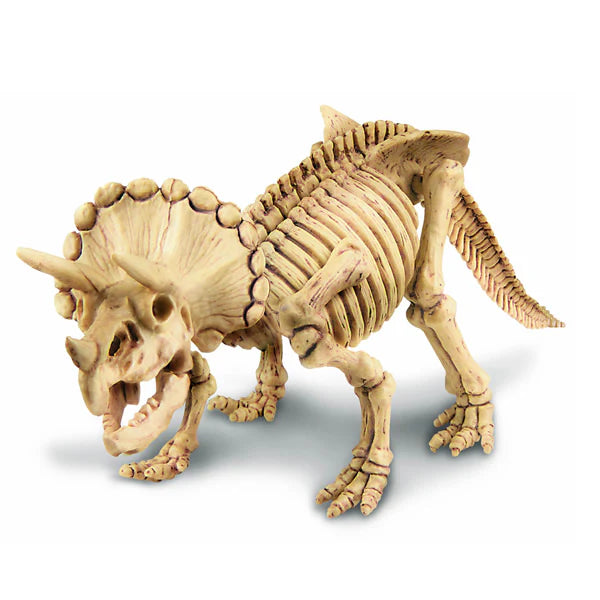 Dinosaurio Triceraptos Excava
