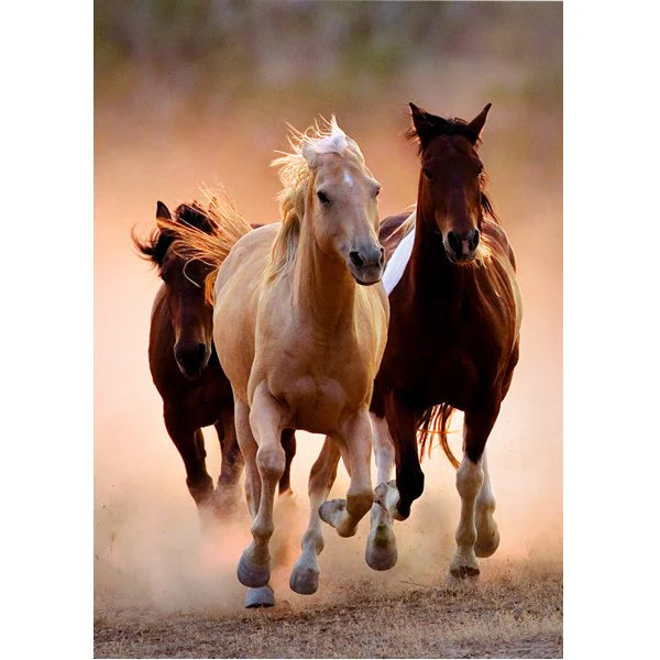 Puzzle 1000 Pcs Caballo