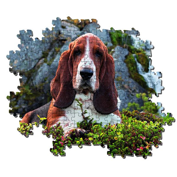 Puzzle 1000 Pcs Perro