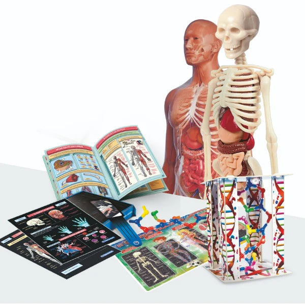 Laboratorio de Anatomia