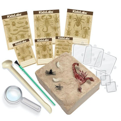 Excava Bichos